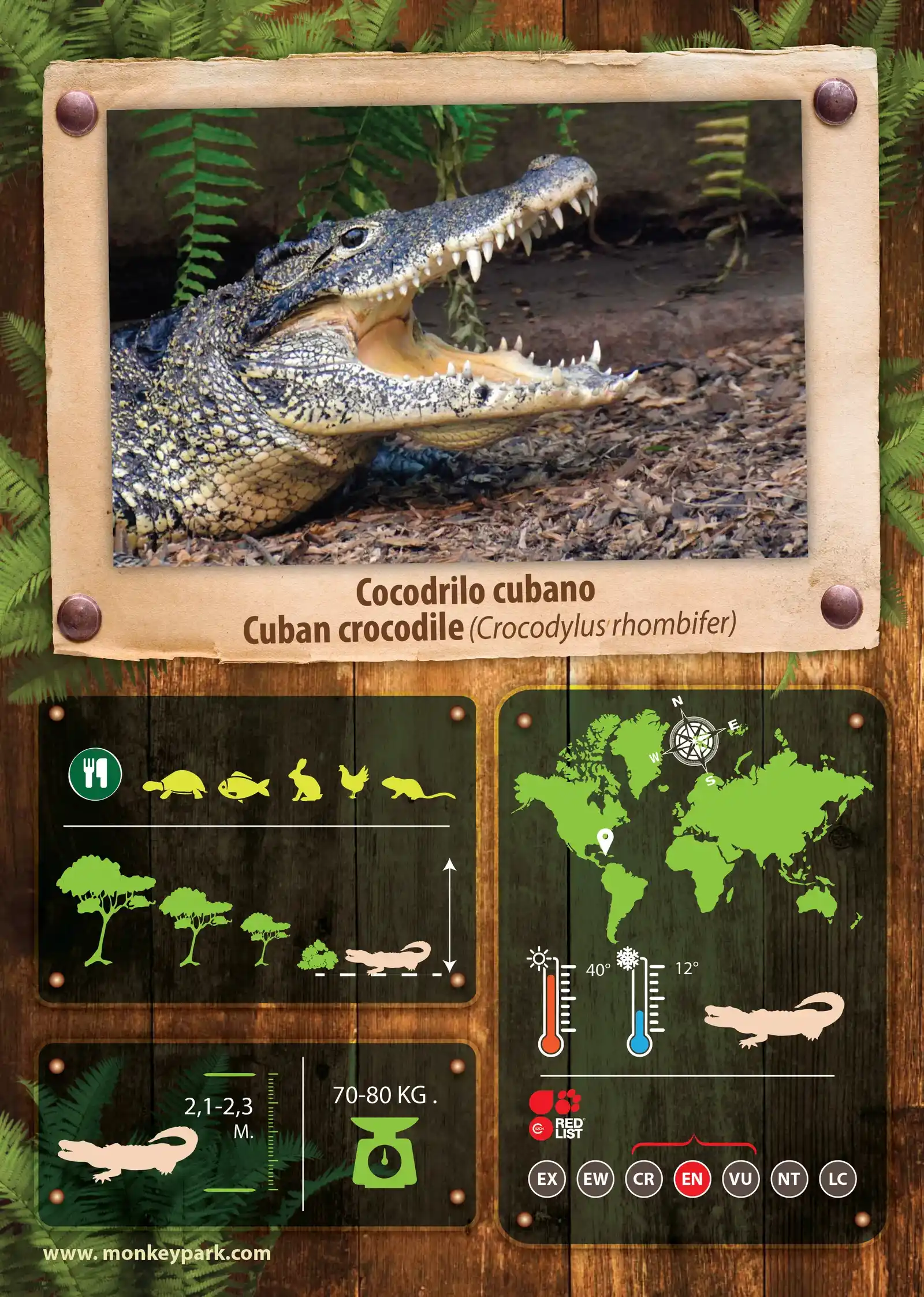 Monkey park infografia animal cocodrilo cubano